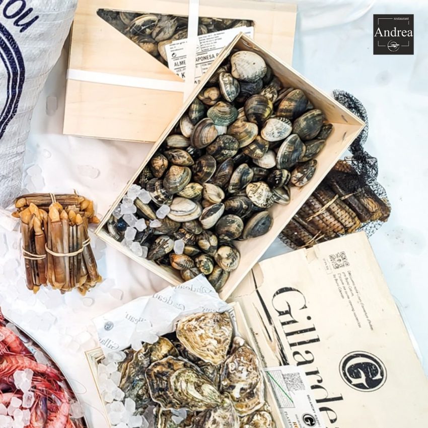 Restaurant Andrea Andorra 🦀 El marisc és un dels aliments més populars del món. No només té un gust deliciós, sinó que també és ric en nutrients que són essencials per a una vida saludable. A Andrea Restaurant treballem amb els millors productes del mar, els quals poden oferir la diferència entre quelcom suau i quelcom realment especial. Els ingredients d'alta qualitat són essencials per crear plats deliciosos. 👌 L'ingredient secret dels nostres plats és l'amor que hi posem a cada àpat. Repetireu. Veniu i gaudiu. Us esperem. ☎️ +376 847 700 📍 C/ Costes de Teixidó, 4 La Massana #instagram #andorra #restaurant #instagood #food #foodie #foodphotography #photooftheday #healthyfood #instafood #delicious #cookingvideo