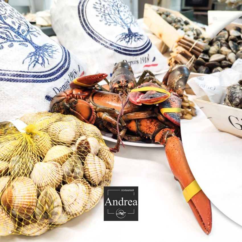 Voleu, marisc de la millor qualitat. Veniu a Andrea Restaurant i prepareu-vos per gaudir amb els millors mariscs i peixos de les típiques llotges de Catalunya i Espanya.