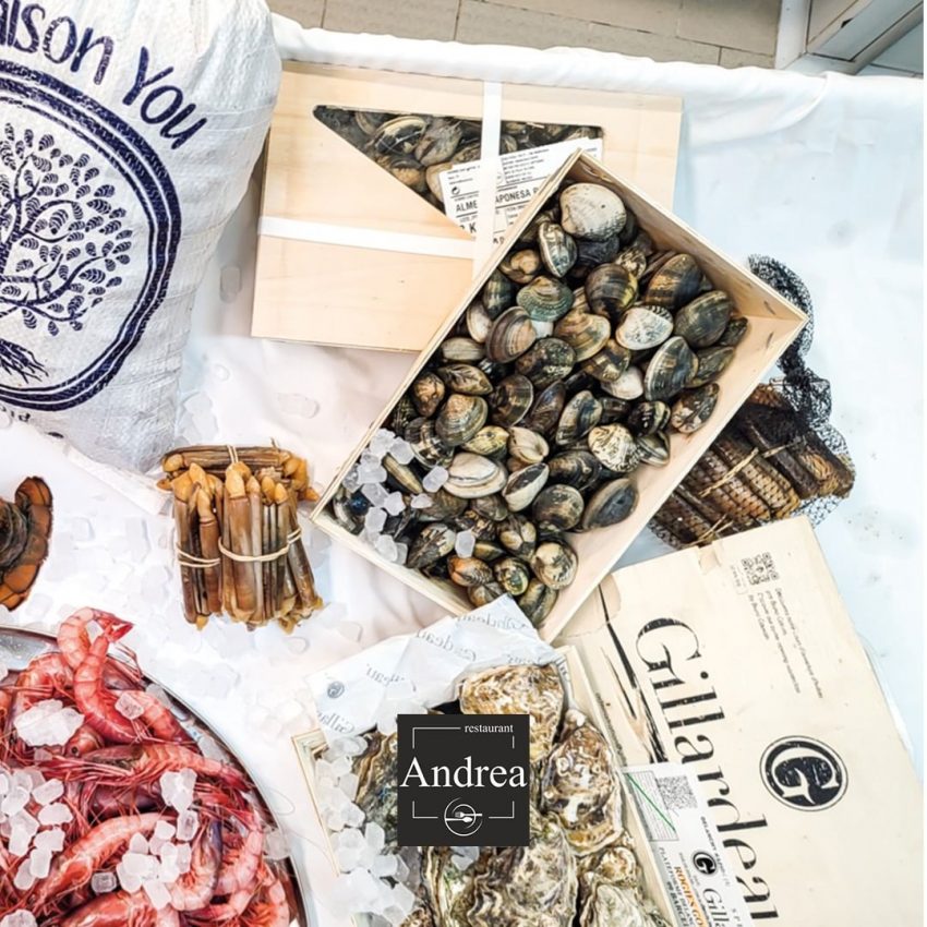Voleu, marisc de la millor qualitat. Veniu a Andrea Restaurant i prepareu-vos per gaudir amb els millors mariscs i peixos de les típiques llotges de Catalunya i Espanya.
