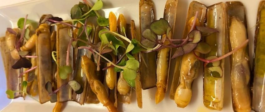 RESTAURANT ANDREA LA MASSANA al PRINCIPAT D’ANDORRA ARROZ BOGAVANTE CARNES MADURADAS, Las mejores paellas | Carnes a la parrilla | chuletón 60 días de maduración | aperitivos selectos | mejillones bouchot | pescados de las mejores lonjas de Cádiz, Málaga, Ametlla de mar, Sant Carles de la rápita, Arenys de mar y Palamós. També carns madurades fetes a la Barbacoa i carns tipus galtes de vedella o melós de vedella elaborat a baixa temperatura, galta de porc de Palou i espatlla de xai a baixa temperatura. RESTAURANT ANDREA ANDORRA Al costat del Comú de la Massana – EL MEJOR ARROZ DE BOGAVANTE AZUL DE ANDORRA, ARROZ DE PULPITOS, GAMBA BLANCA Y ALMEJAS FINAS, MARISQUERÍA RESTAURANT ARROCERÍA LA MILLOR ARROSSERÍA DE LES VALLS DEL NORD ANDORRA MARISCADES, GRAELLADES, BARBACOA, BBQ, BARBECUE. ARRÒS CALDOS, PAELLA D'ESCOPINYES, PAELLA DE GALERES, PAELLA DE LLAMÀNTOL, ESPECIALISTES EN ARROSSOS CALDOSOS i PAELLES D’ESCOPINYES. Las mejores paellas | paellas andorra | paellas por encargo | restaurantes de paellas | Carnes a la parrilla | chuletón 60 días de maduración | aperitivos selectos | mejillones bouchot | pescados de las mejores lonjas de Cádiz, Málaga, Ametlla de mar, Sant Carles de la rápita, Arenys de mar y Palamós. RESTAURANT ANDREA RESTAURANT ANDREA ANDORRA Al costat del Comú de la Massana - EL MEJOR ARROZ DE BOGAVANTE AZUL DE ANDORRA, ARROZ DE PULPITOS, GAMBA BLANCA Y ALMEJAS FINAS, MARISQUERÍA RESTAURANT ARROCERÍA LA MILLOR ARROSSERÍA DE LES VALLS DEL NORD ANDORRA MARISCADES, GRAELLADES, BARBACOA, BBQ, BARBECUE. ARRÒS CALDOS, PAELLA D'ESCOPINYES, PAELLA DE GALERES, PAELLA DE LLAMÀNTOL, ESPECIALISTES EN ARROSSOS CALDOSOS i PAELLES D’ESCOPINYES. LAS MEJORES CARNES PARA COCINAR A BAJA TEMPERATURA Resultats de la cerca. Guía de Cocción Sous Vide – Carne. PRODUCTO - TEMPERATURA - TIEMPO. Carrillera de ternera 80 °C 14-18 h. Chateaubriand. 60 °C - 45'. Chuleta de cerdo 65 °C - 1 h. Chuleta de ternera o ribeye. Las carnes rojas son las grandes beneficiadas de la cocción sous vide. Gracias a nuestro roner, podremos hacer nuestros cortes de carne al punto que más nos guste. Y prácticamente será imposible equivocarnos. Habitualmente, cocinaremos nuestros cortes bovinos entre los 49 °C (120.2ºF) y los 62 °C (143,6ºF). No olvides que al finalizar la cocción sous vide, es requisito sellar la carne a alta temperatura. Este proceso se hace tanto por seguridad alimentaria como para intensificar el sabor de la carne. En esta sección englobamos todos los cortes vacunos. Recetas de Carne de Cerdo en Sous Vide. Los cortes porcinos también se benefician de la cocina al vacío. Con un poco de tiempo y baja temperatura, podemos convertir una carne popular en todo un manjar. El cerdo lo trabajaremos a una temperatura superior a la ternera, ya que tenemos que asegurarnos de que quede bien cocinado para eliminar patógenos. En algunos casos la carne quedará rosa, pero será seguro consumirla gracias a la pasteurización. Recetas de Otras Carnes en Sous Vide En general, la técnica sous vide es fantástica para sacar lo mejor de cualquier carne. Nos permite cocinarla al punto que más nos guste, garantizando su jugosidad y ternura. El magret de pato es un corte exquisito con un sabor espectacular con el que podemos hacer platos muy resultones. Es ideal para alguna cena especial, como una noche en pareja o un menú de Navidad. Gracias a la técnica Sous Vide, vamos a poder hacer esta receta con mucha facilidad, sin miedo a estropear la carne pasándonos de punto o quedándonos cortos de cocción. Al final de la receta podrás ver algunas variantes es esta receta. Primero te enseñaremos cómo preparar y cocinar la pechuga y luego podrás ver las distintas formas de elaborar el plato. La carne de cordero es un producto espectacular que seguramente nos gustaría comer más a menudo, pero no lo hacemos debido a su alto precio. A su coste se suma otro gran impedimento: es bastante complicado de cocinar. Es muy sencillo pasarse de cocción y que quede una carne seca y poco jugosa. Por este motivo, cocinar Sous Vide un corte de cordero es una gran idea. Vamos a poder controlar el punto en el que deseemos la carne con mucha precisión y vamos a poder degustar un plato delicioso. Además, hemos elegido las costillas de cordero porque son un corte más asequible. Ideal por ejemplo para una cena en pareja, o para una ocasión especial. Más adelante vendrán más recetas de cordero Sous Vide para celebraciones en familia como la Navidad. Las mejores paellas | paellas andorra | paellas escaldes | paellas por encargo | restaurantes de paellas | Carnes a la parrilla | chuletón 60 días de maduración | aperitivos selectos | mejillones bouchot | pescados de las mejores lonjas de Cádiz, Málaga, Ametlla de mar, Sant Carles de la rápita, Arenys de mar y Palamós.