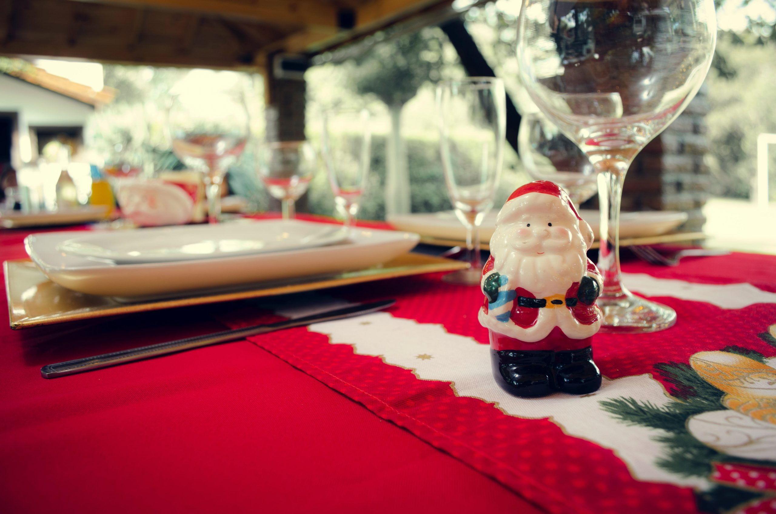 No podem oblidar un bon sopar o dinar de Nadal. A Restaurant Andrea en som especialistes a organitzar festes, sopars i dinars de Nadal per a empreses i famílies estem a La Massana (Andorra).