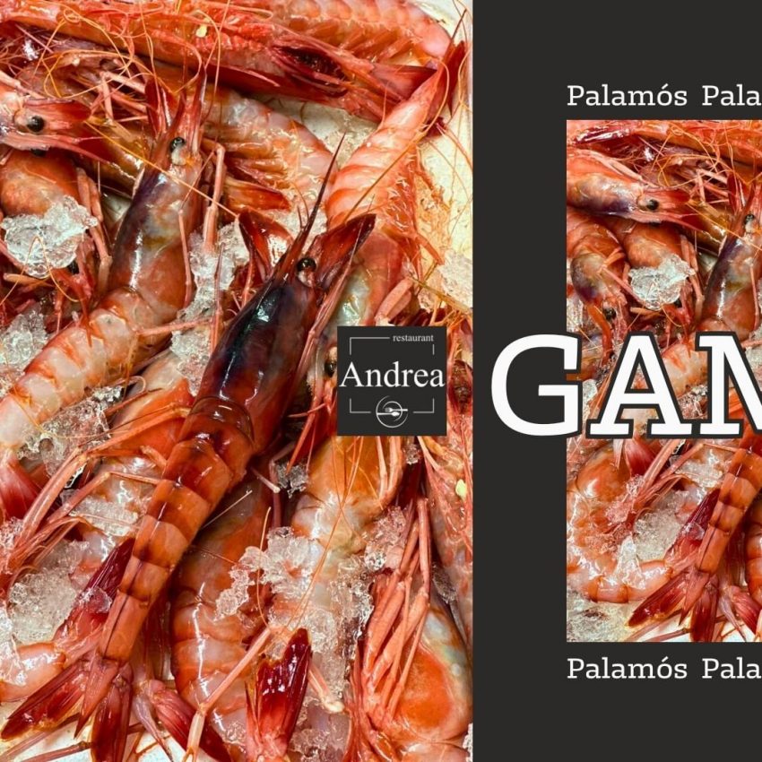 A Restaurant Andrea Andorra tenim les delicioses Gambes de Palamós disponibles perquè les puguis gaudir com més t'agraden. No hi ha res com la frescor i el sabor únic d'aquestes gambes, directament del mar a la teva taula.