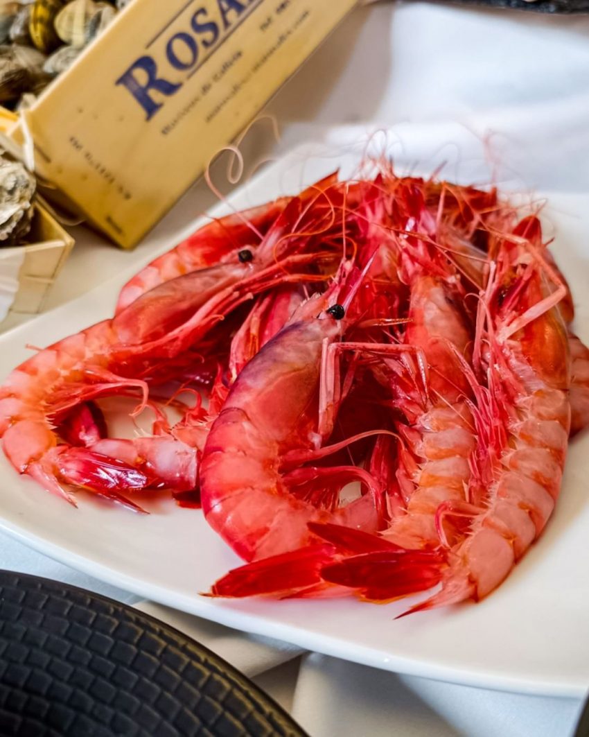 Possiblement la millor marisqueria de la Massana i les valls del nord. Restaurant Andrea Andorra, cada plat de marisc que oferim és elaborat amb els millors productes del mar