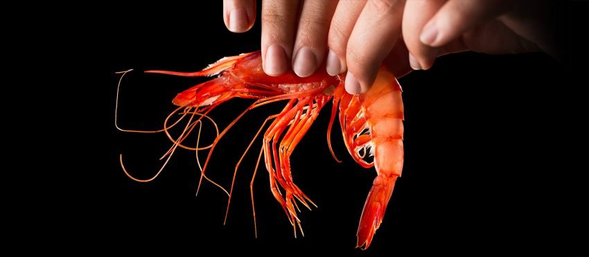 A Restaurant Andrea Andorra tenim les delicioses Gambes de Palamós disponibles perquè les puguis gaudir com més t'agraden. No hi ha res com la frescor i el sabor únic d'aquestes gambes, directament del mar a la teva taula.