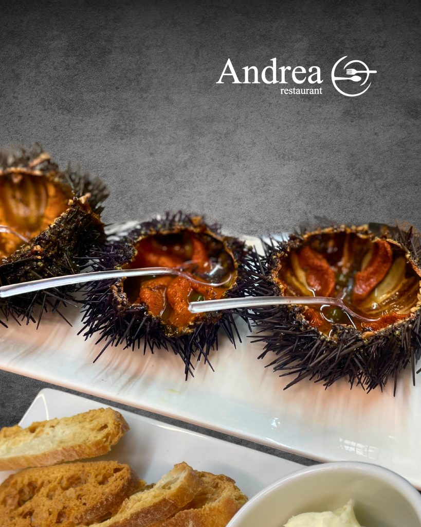 Descobreix la meravella del fons marí al Restaurant Andrea! Les garoines – també conegudes com a eriçons de mar – ens arriben directament dels nostres mars, aquestes singulars joies salades que ens sorprenen amb la seva forma esfèrica i coberta de punxes.  No només són un espectacle visual de la natura, sinó que s'han convertit en una exquisidesa gastronòmica imprescindible per als amants del bon menjar.  Vine a degustar aquest tresor marí i deixa't seduir per la frescor i el sabor únic que només els nostres mars poden oferir. #RestaurantAndrea #Garoines #EriçonsDeMar #ExquisidesaMarina   #Gastronomia #SaborDelMar #marmediterrani #restaurantandorra #CocinaCreativa #restaurantlamassana #lamassanafogons #marisc #MarProducte #lamillormarisqueriadandorra #lamar #garoines #ExperiènciaGastronòmica #DelíciesDelMar #CuinaContemporània   #MenjarDeQualitat #AndreaRestaurant